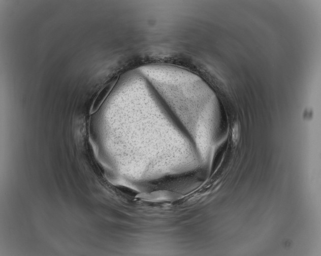 X0000090931299200708201819