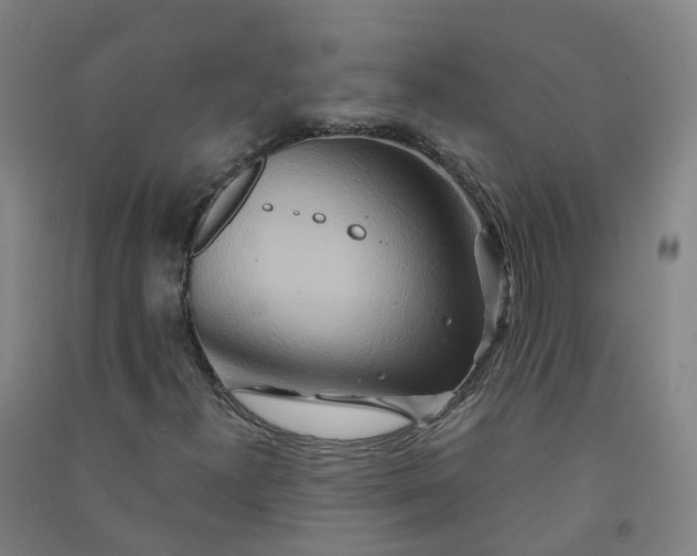 X0000090931300200708201819