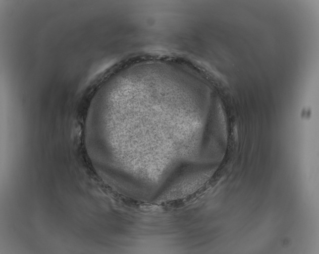 X0000090931302200708201819