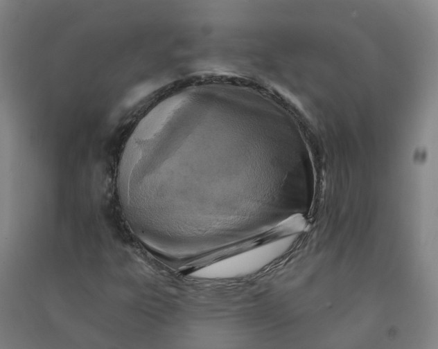 X0000090931303200708201819