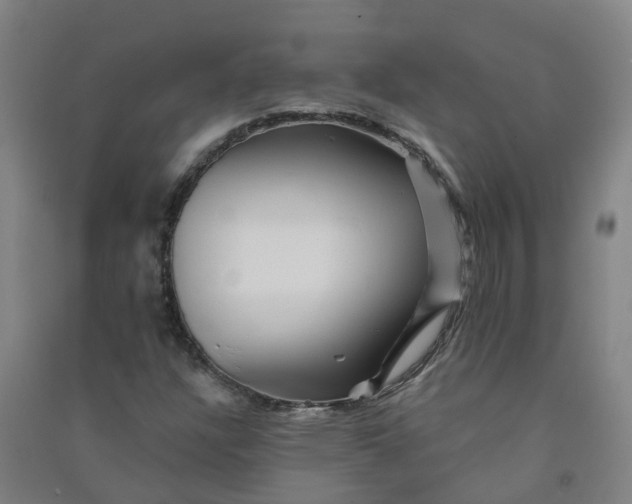 X0000090931304200708201819