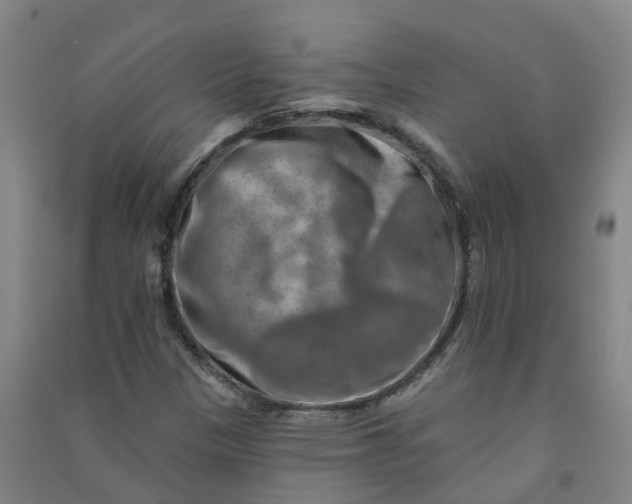 X0000090931305200708201819