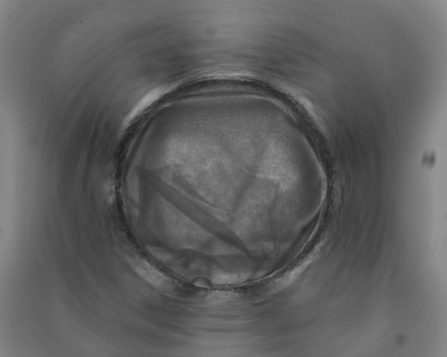 X0000090931306200708201819