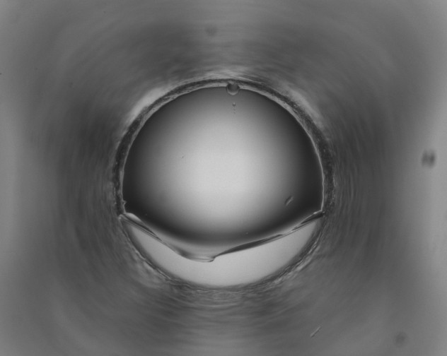 X0000090931308200708201819