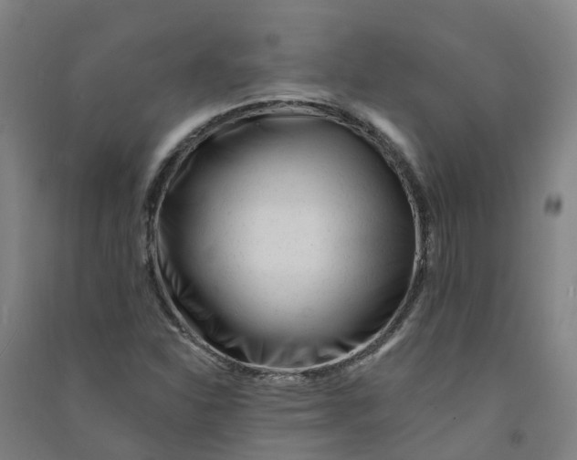 X0000090931310200708201819