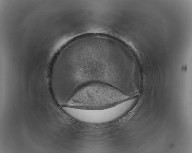 X0000090931311200708201819