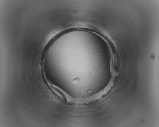 X0000090931312200708201819