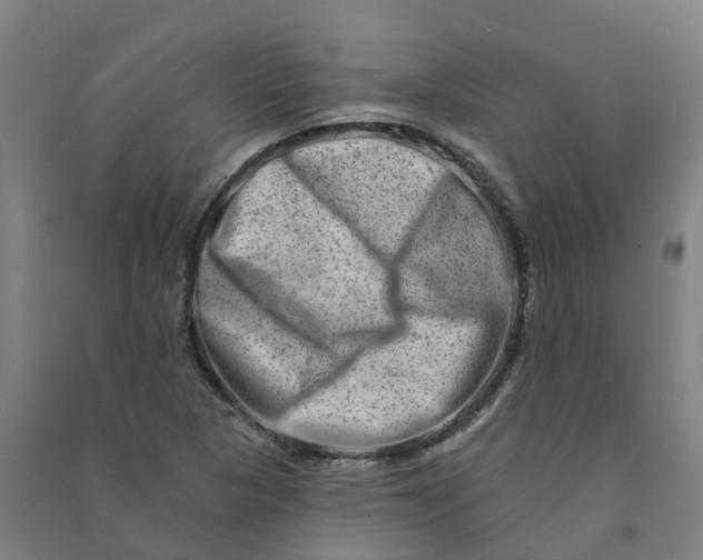 X0000090931313200708201819