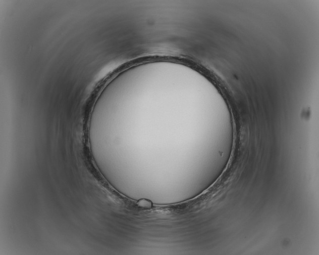 X0000090931315200708201819