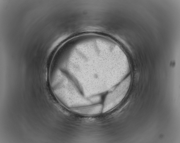 X0000090931317200708201819