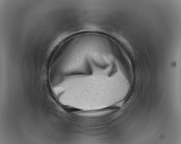 X0000090931318200708201819