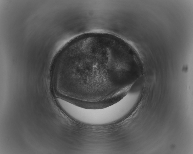 X0000090931319200708201819