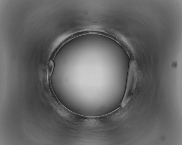 X0000090931320200708201819