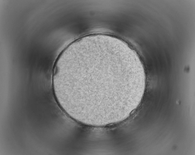 X0000090931322200708201819