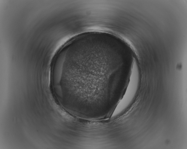 X0000090931323200708201819