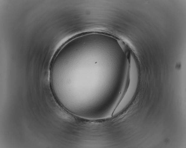 X0000090931324200708201819