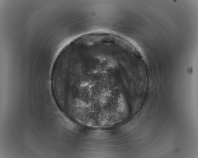 X0000090931327200708201819