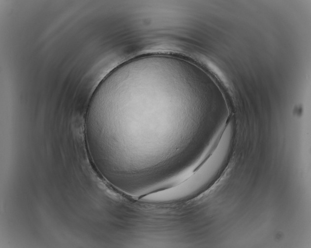 X0000090931329200708201820