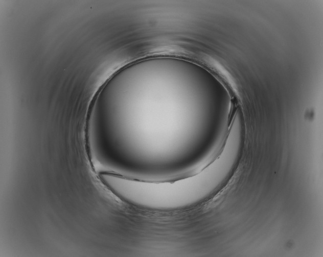 X0000090931330200708201820