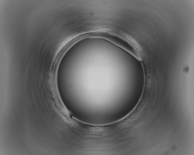 X0000090931332200708201820