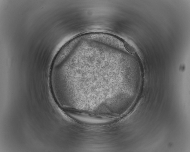 X0000090931333200708201820