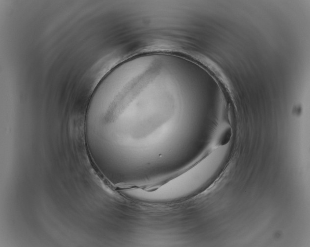 X0000090931337200708201820