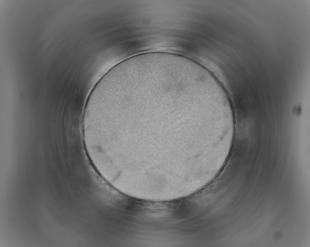 X0000090931338200708201820