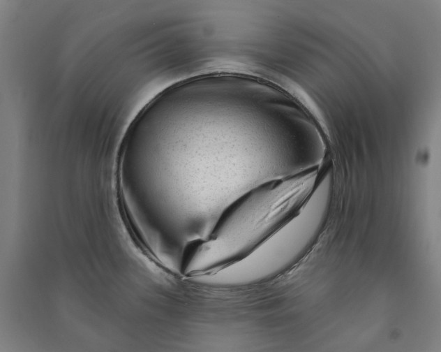 X0000090931339200708201820