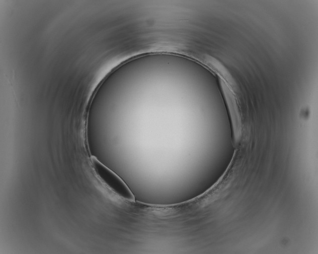 X0000090931340200708201820