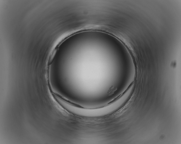 X0000090931342200708201820