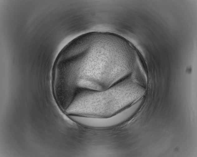 X0000090931343200708201820