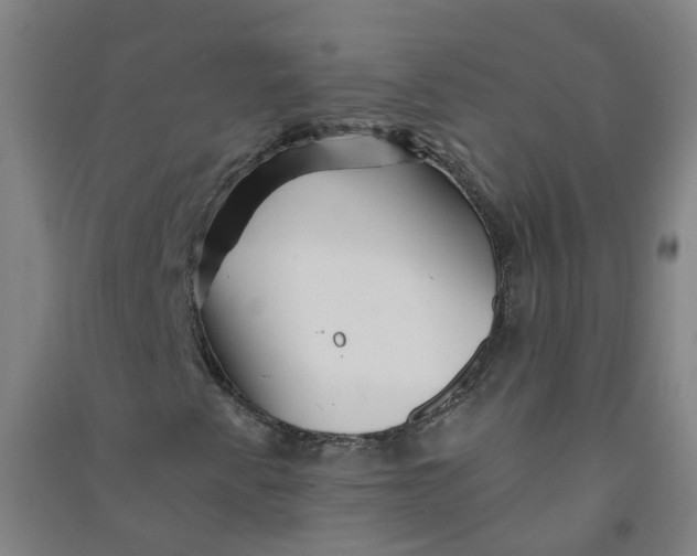 X0000090931345200708201819