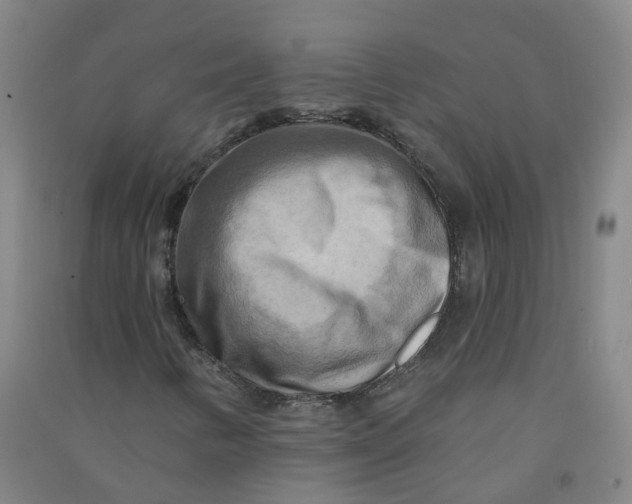 X0000090931346200708201819