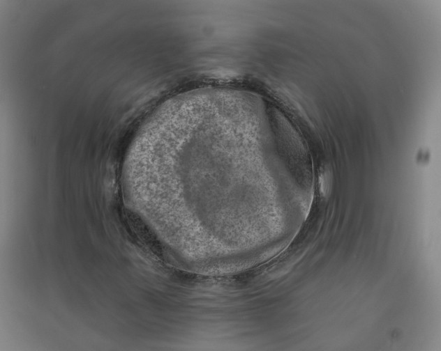 X0000090931347200708201819