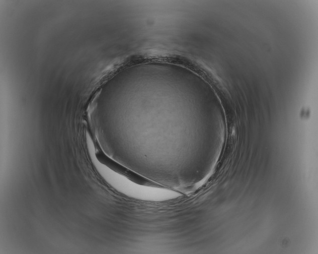 X0000090931348200708201819