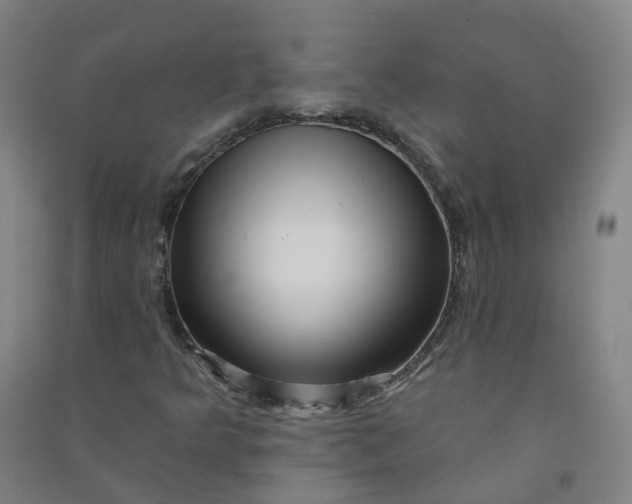 X0000090931349200708201819