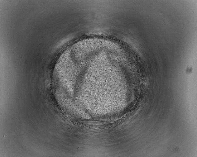 X0000090931350200708201819