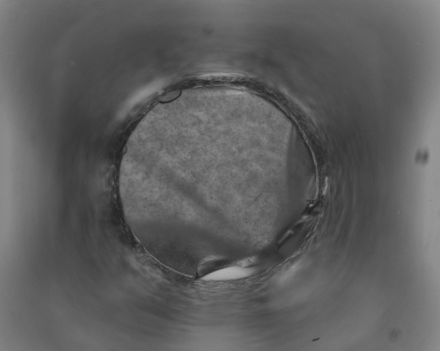 X0000090931351200708201819