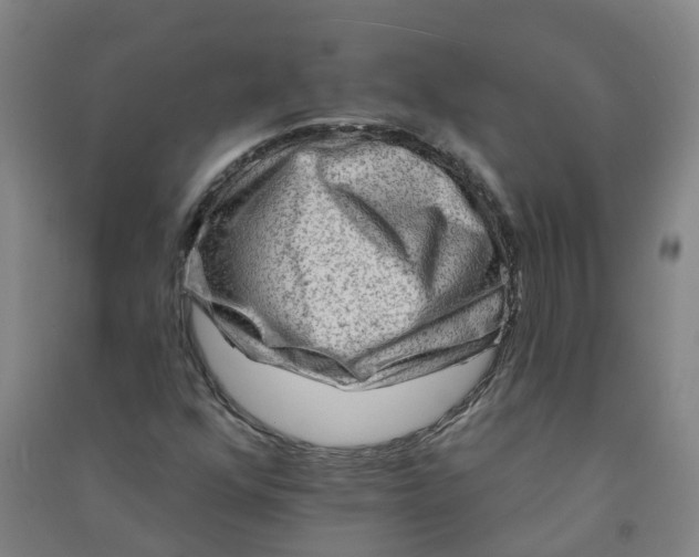 X0000090931352200708201819