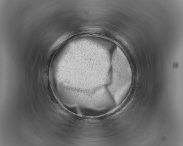 X0000090931354200708201819