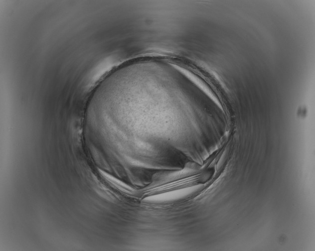 X0000090931355200708201819