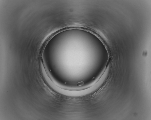 X0000090931356200708201819