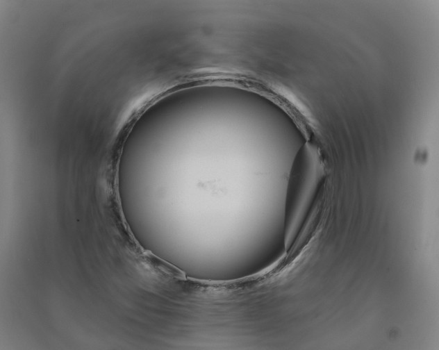 X0000090931357200708201819