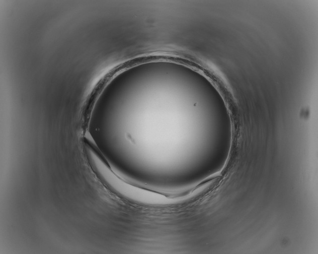 X0000090931360200708201819