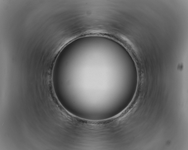 X0000090931361200708201819