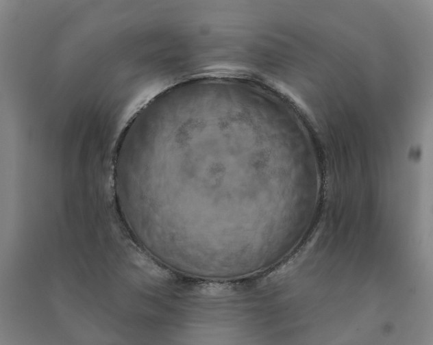 X0000090931362200708201819