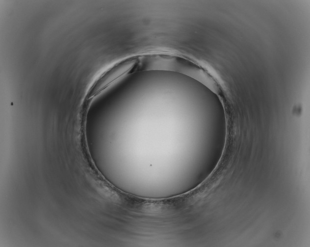 X0000090931364200708201819