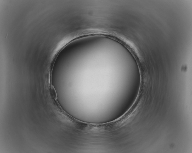 X0000090931365200708201819