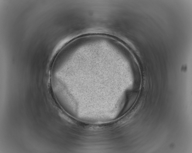 X0000090931366200708201819