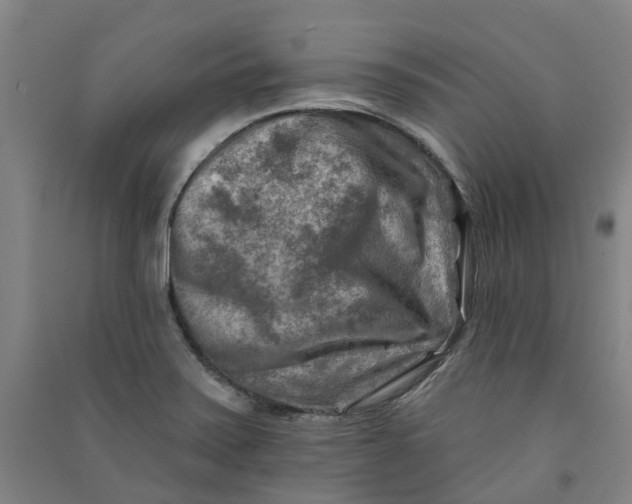 X0000090931371200708201819